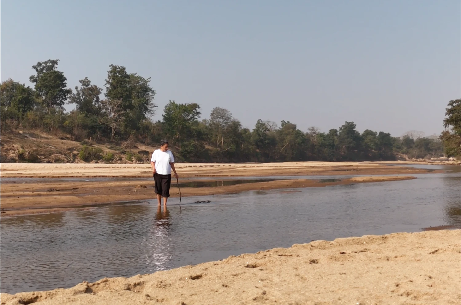 knee dipping at the banjar river